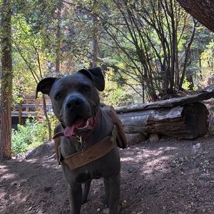 Meet your Posher, Soledad